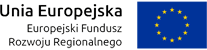 Interbruk s.c - Europejski Fundusz Rozwoju Regionalnego